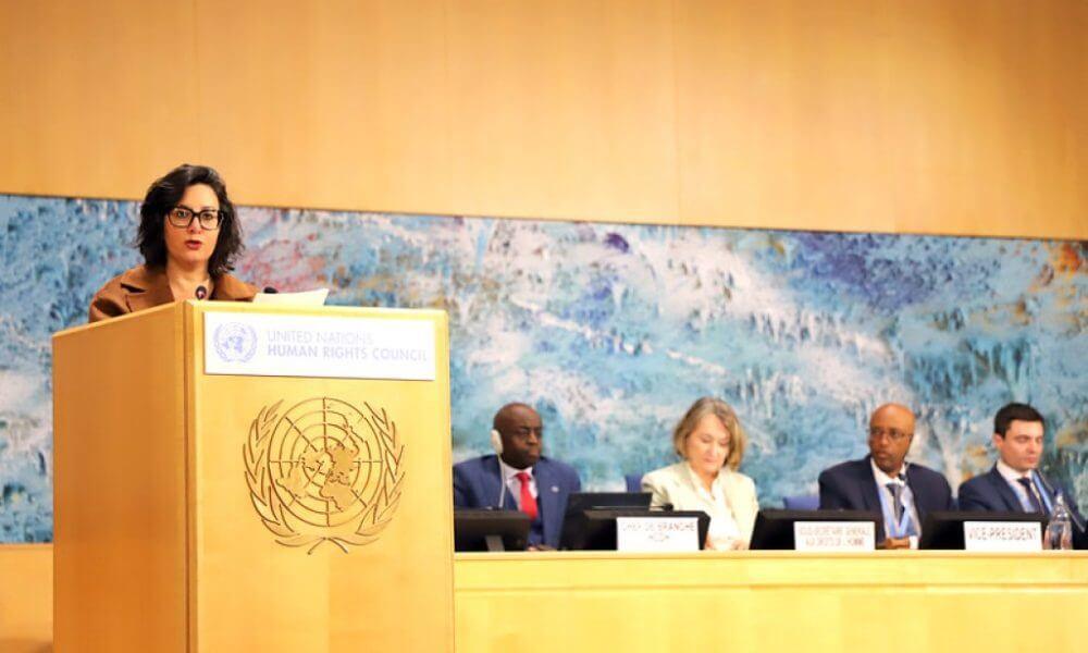 Brasil na ONU: Igualdade Racial e Participação Social em Foco